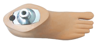 картинка СТОПА ТИПА SACH 1FES от магазина Одежда+